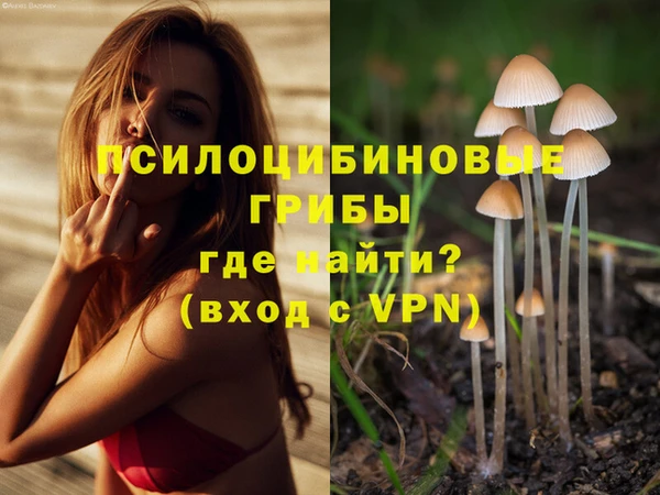Альфа ПВП Абдулино